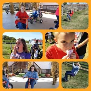 Meet your Posher, Crystal